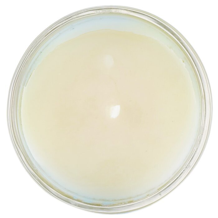 Carroll & Chan 100% Beeswax Votive Candle - Green Seas 65g