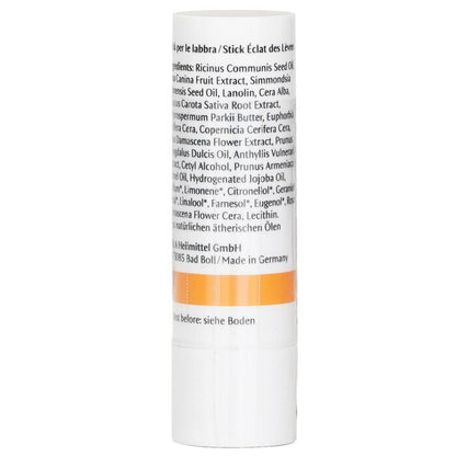 Dr. Hauschka Lip Care Stick 4.9g/0.16oz