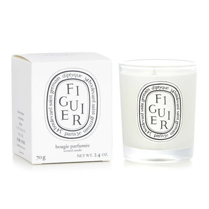 Diptyque Scented Candle - Figuier (Fig Tree) 70g