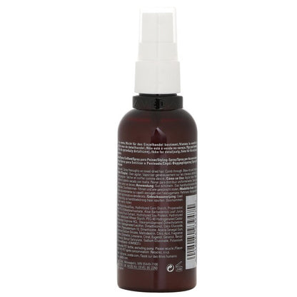 Aveda Thickening Tonic (Instantly Thickens For A Fuller Style) 100ml/3.4oz