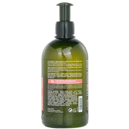 L'Occitane Aromachologie Intensive Repair Shampoo (Damaged Hair) 500ml/16.9oz