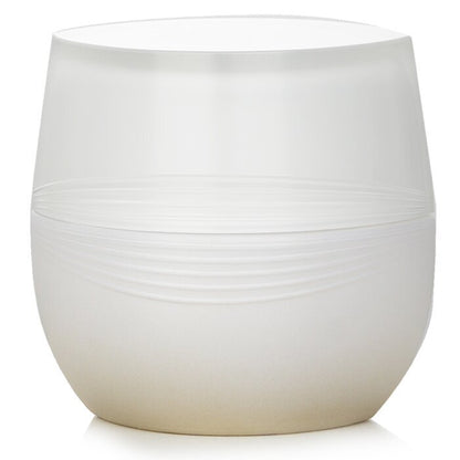 Kanebo Sensai Absolute Silk Cream 40ml