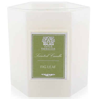 Antica Farmacista Candle - Fig Leaf 255g/9oz