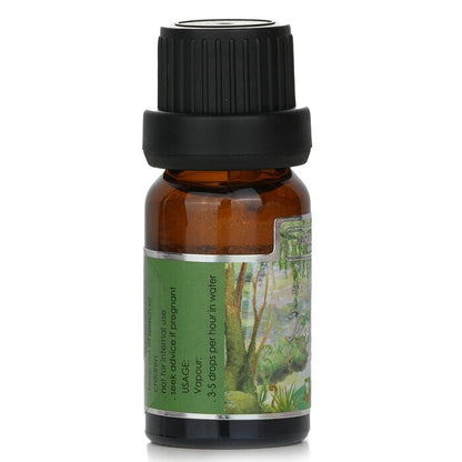 Carroll & Chan Fragrance Oil -  Tropical Forest 10ml